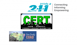 211Info CERT and COAD Images