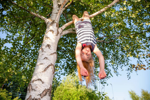 Public comment of the month: Climb a tree today