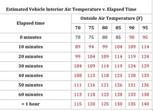 Temperatures inside a car rise quickly. Even on a 70 degree day, the inside of the car will hit 100 degrees in about 20 minutes.