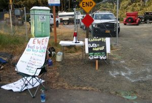 Seeking to preserve the big firs, Ralph McDonald and others gathered at EWEB's East 40th Water Storage Project site Monday before logging was halted.