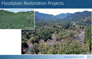 Restoration work in the McKenzie includes letting the river move more freely throughout the floodplain.