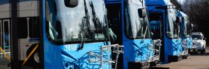 LTD will add service to 8 routes this fall.