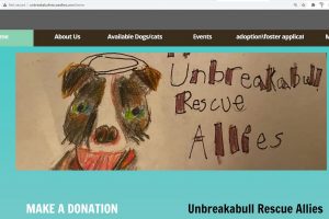 Whitney of Unbreakabull Rescue Allies tells KEPW's Julie Lambert how you can help an often-overlooked homeless population: dogs.