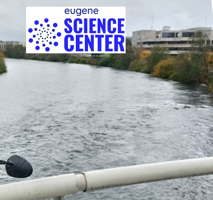 The EWEB property (as seen from the DeFazio Bridge on Thursday) could be the site for a world-class education resource and tourist destination, the Eugene Science Center.