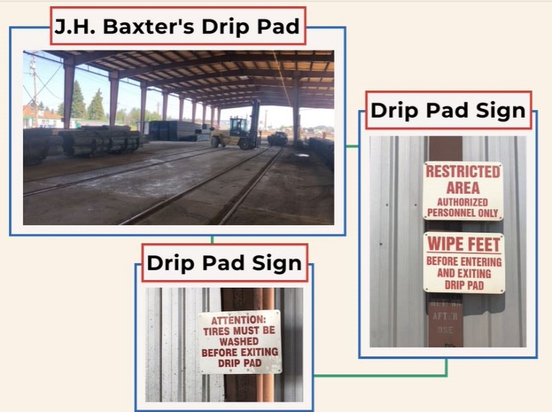 Bethel's neighborhood association played a key role in identifying dangerous toxins in residents' yards and Trainsong Park.