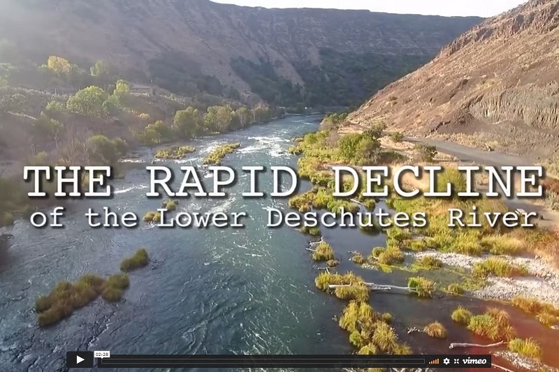 The Deschutes River Alliance features a video about the rapid decline of the lower river.